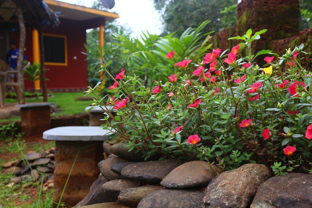 Nature's Harmony Guest house *